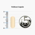 BrainMax_S-Acetyl-L-Glutathione_03