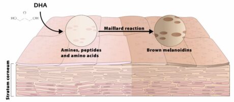 Self_Tan_Mousse_Light-Medium_04